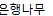 은행나무